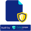 audit