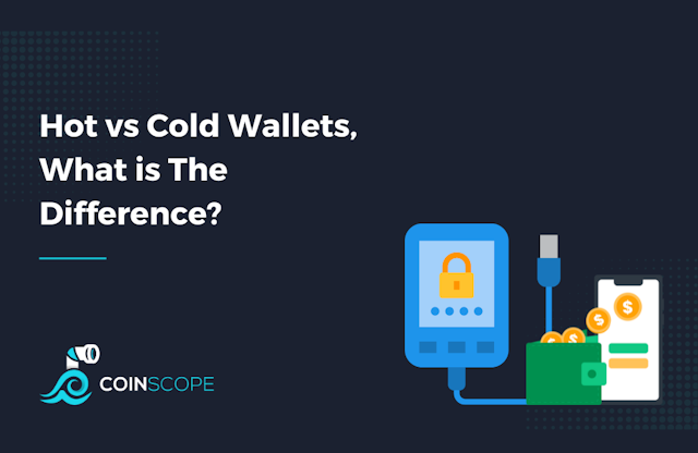 Hot vs Cold Wallets, What is The Difference?